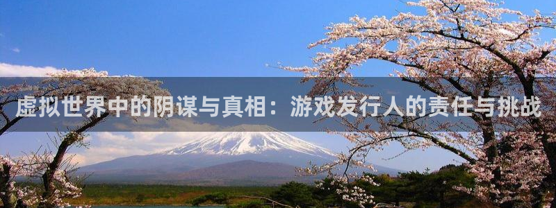 四川im电竞科技有限公司：虚拟世界中的阴谋与真相：游戏发行人的责任与挑战