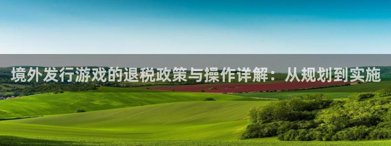 im电竞平台登录入口官网：境外发行游戏的退税政策与操作详解：从规划到实施