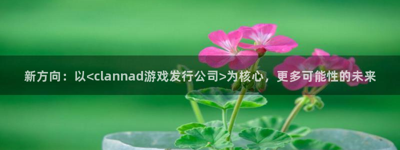 im电竞的寓意：新方向：以<clannad游戏发行公司>为核心，更多可能性的未来