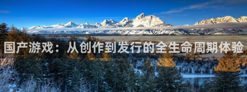 im电竞官网游戏怎么注册：国产游戏：从创作到发行的全生命周期体验