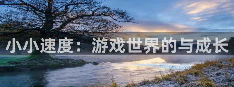 im电竞啤酒怎么样：小小速度：游戏世界的与成长