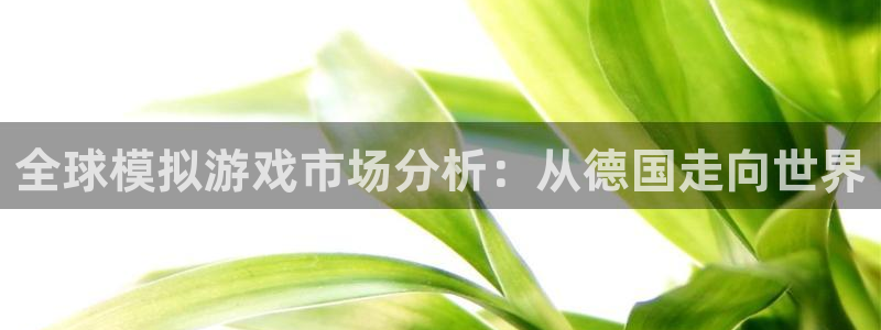 im电竞官网登录注册账号安全吗：全球模拟游戏市场分析：从德国走向世界