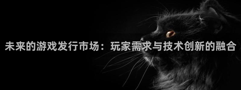 im电竞子市值：未来的游戏发行市场：玩家需求与技术创新的融合