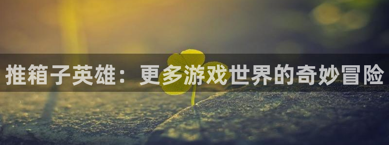 im电竞子文化是干什么的：推箱子英雄：更多游戏世界的奇妙冒险