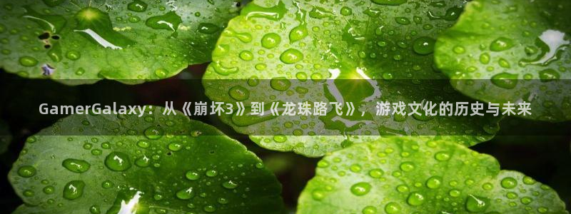 im电竞官网奇趣腾讯分分彩：GamerGalaxy：从《崩坏3》到《龙珠路飞》，游戏文化的历史与未来