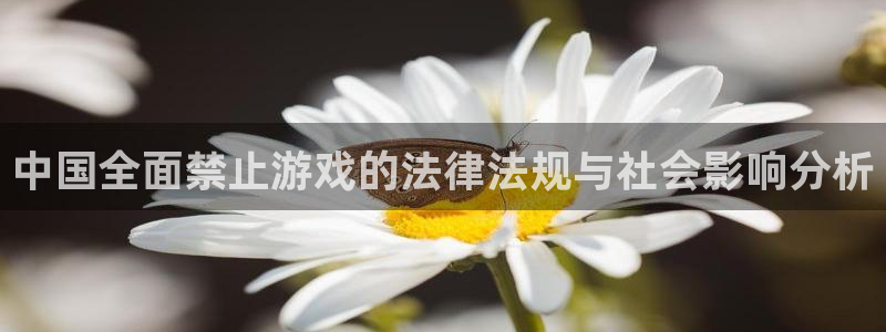 广州im电竞网络科技有限公司怎么样：中国全面禁止游戏的法律法规与社会影响分析