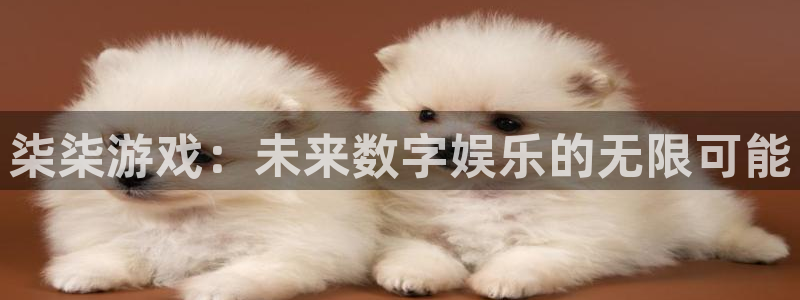 im电竞官网注册登录失败：柒柒游戏：未来数字娱乐的无限可能