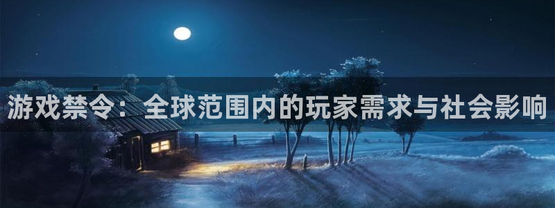 im电竞子教育科技(江门)有限公司：游戏禁令：全球范围内的玩家需求与社会影响