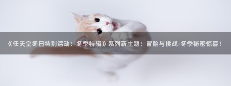 im电竞官网登录注册不了账号：《任天堂冬日特别活动：冬季特辑》系列新主题：冒险与挑战-冬季秘密惊喜！