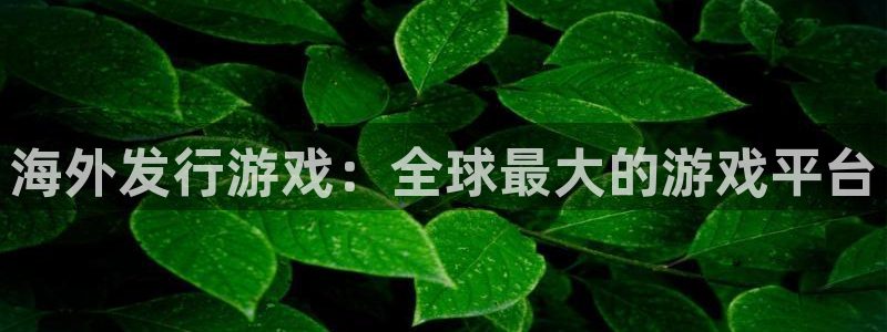 im电竞官网注册方法是什么样的：海外发行游戏：全球最大的游戏平台