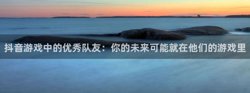 im电竞技术有限公司